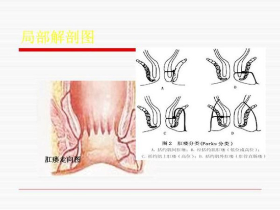 澳门新葡萄新京8883免费