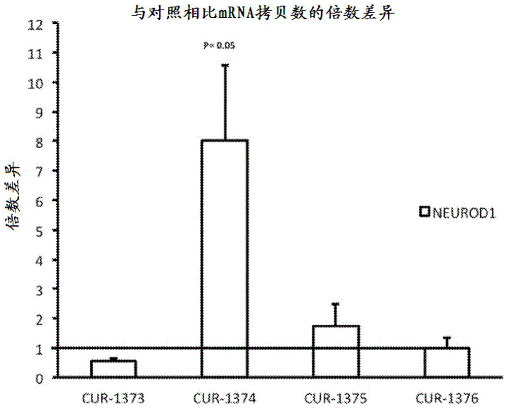 澳门新葡澳京官网